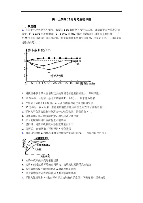 高一上学期12月月考生物试题