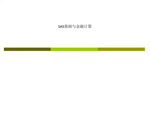 SAS基础与金融计算