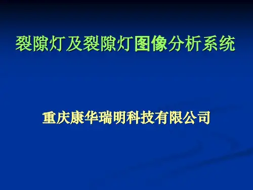 裂隙灯及裂隙灯图像处理系统 ppt课件