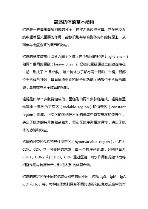 简述抗体的基本结构