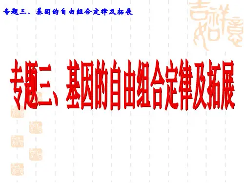 专题三、基因的自由组合定律及拓展