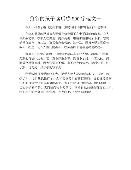 狼谷的孩子读后感800字范文一
