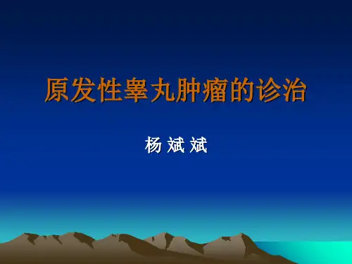 原发性睾丸肿瘤的诊治-PPT文档资料
