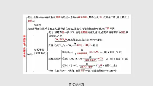 光合作用和呼吸作用专题PPT课件