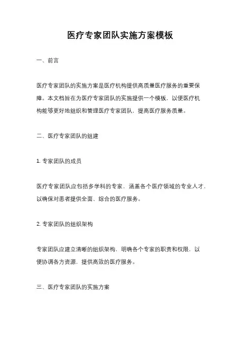 医疗专家团队实施方案模板