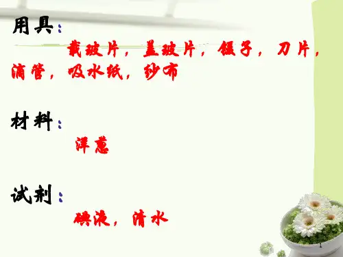 植物细胞临时装片的制作