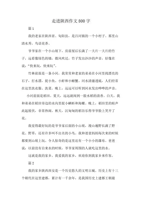走进陕西作文800字