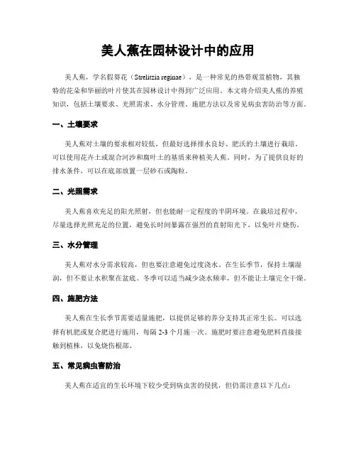 美人蕉在园林设计中的应用