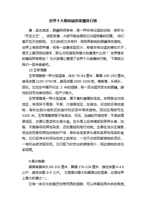 世界十大最凶猛的雄鹰排行榜