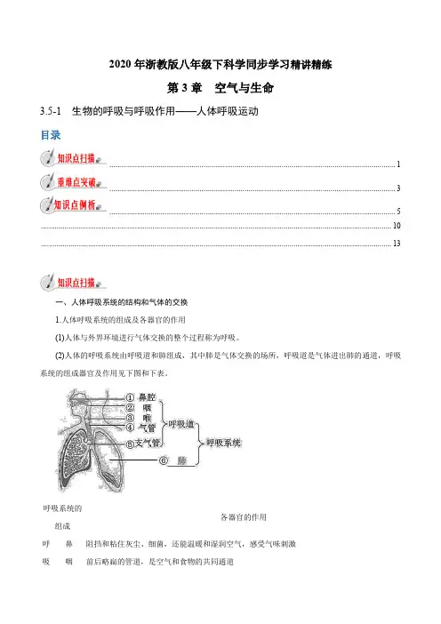 专题3.5.1生物的呼吸与呼吸作用——人体呼吸运动(原卷版+解析)