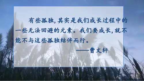 《孤独之旅》ppt课件