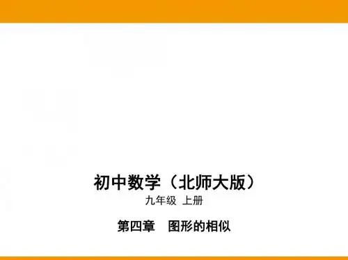 新北师大数学九上课件：相似多边形