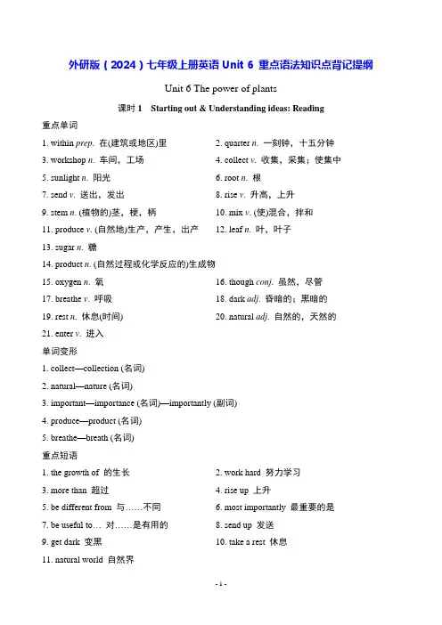 外研版(2024)七年级上册英语Unit 6 重点语法知识点背记提纲