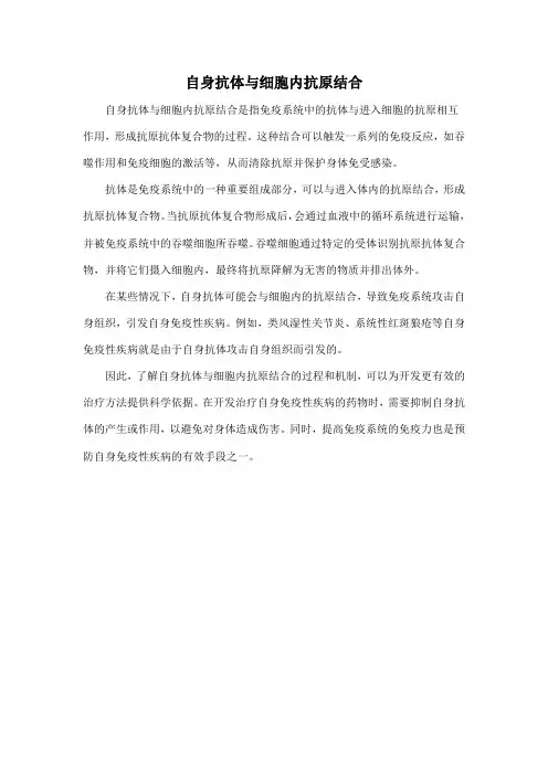 自身抗体与细胞内抗原结合