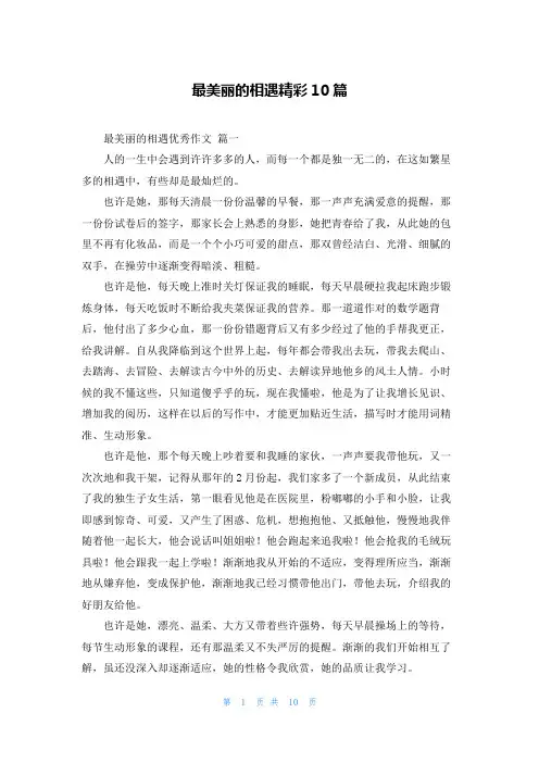 最美丽的相遇精彩10篇