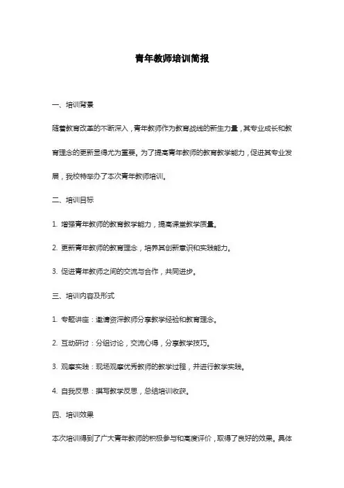 青年教师培训简报