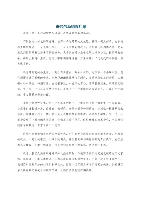 奇妙的动物观后感