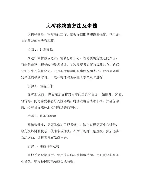 大树移栽的方法及步骤