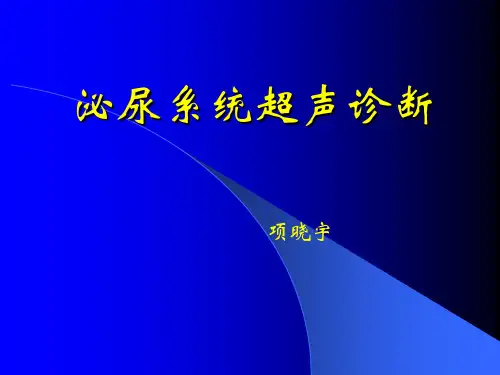 《超声影像诊断学》教学课件-泌尿系统超声诊断