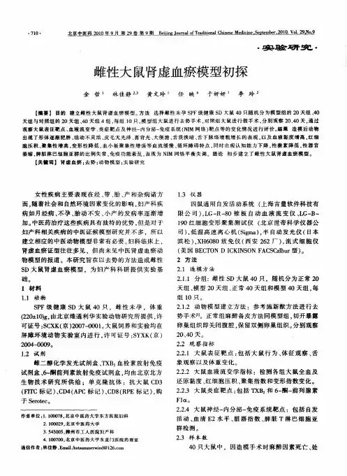 雌性大鼠肾虚血瘀模型初探