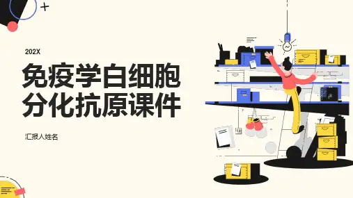 免疫学白细胞分化抗原课件