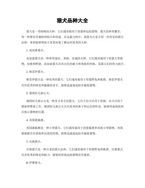 猎犬品种大全