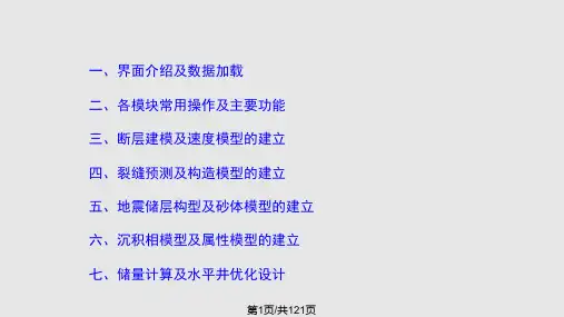 Petrel培训总PPT课件