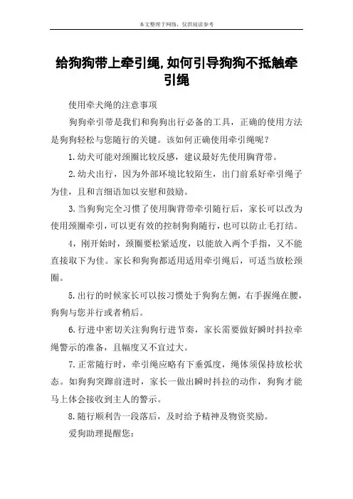 给狗狗带上牵引绳,如何引导狗狗不抵触牵引绳