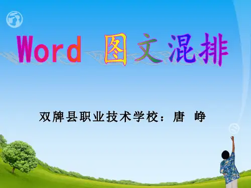 《图文混排》说课课件