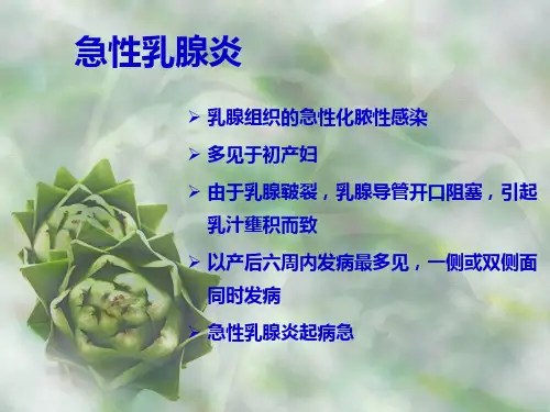 急性乳腺炎病人的护理.ppt