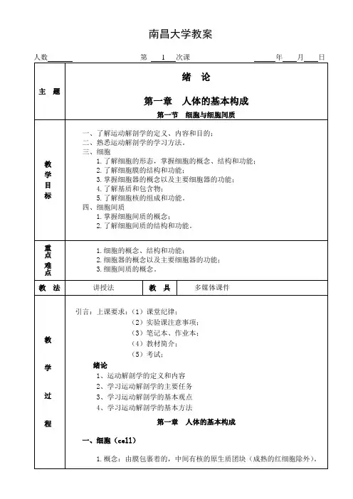 运动解剖学教案