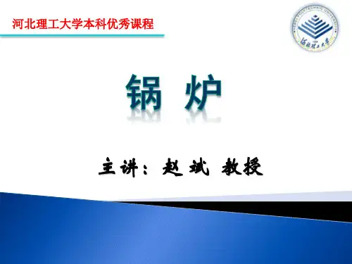 锅炉13强制流动锅炉及其水动力特性
