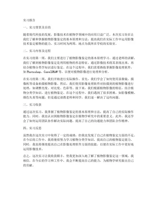 鉴定植物影像实习报告
