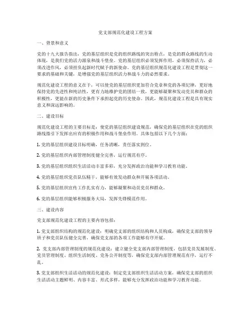 党支部规范化建设工程方案