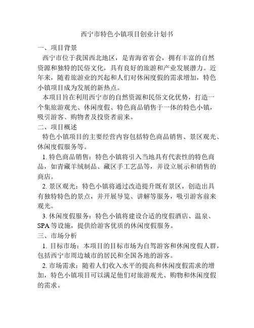 西宁市特色小镇项目创业计划书