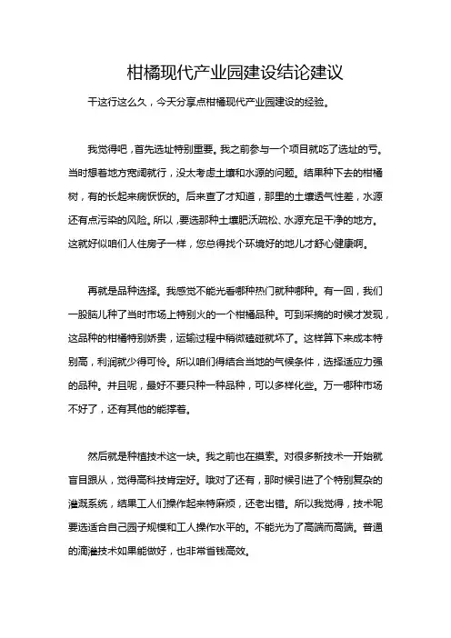 柑橘现代产业园建设结论建议