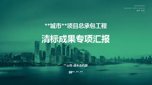 总包清标成果报告模板