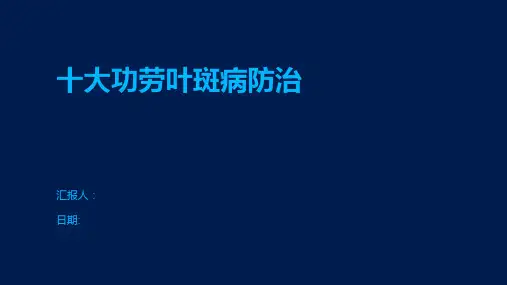 十大功劳叶斑病防治