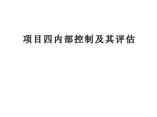 内部控制及其评估培训ppt课件