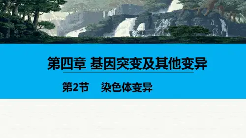 人教版必修二第二节染色体变异PPT