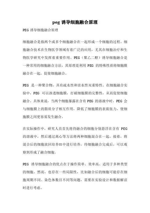 peg诱导细胞融合原理