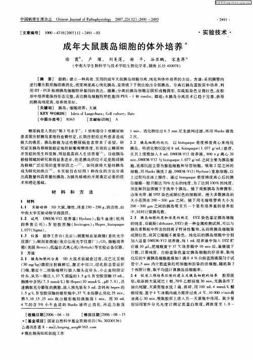 成年大鼠胰岛细胞的体外培养