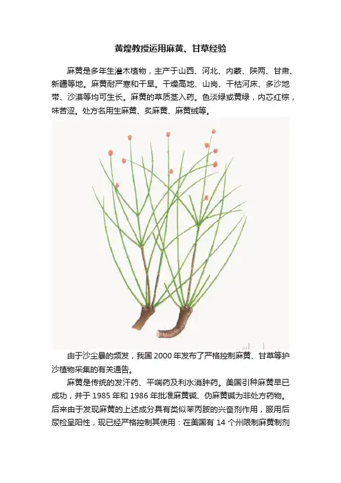 黄煌教授运用麻黄、甘草经验