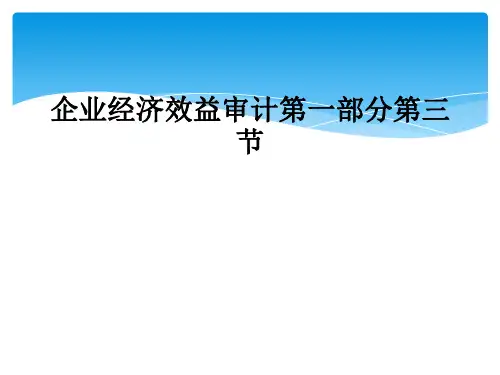 企业经济效益审计第一部分第三节