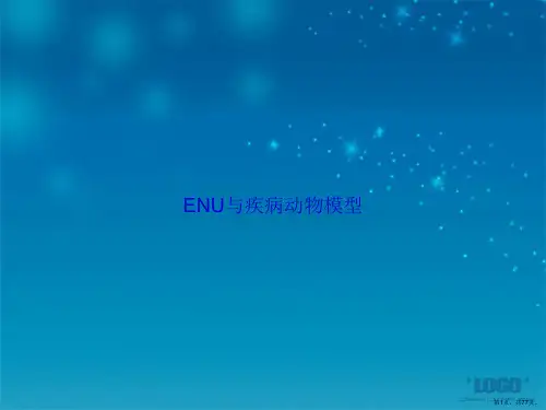 ENU与疾病动物模型讲课文档