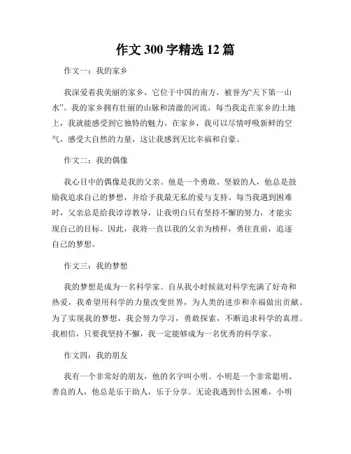 作文300字精选12篇