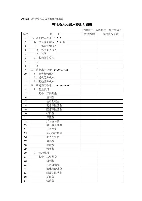 A06079营业收入及成本费用明细表