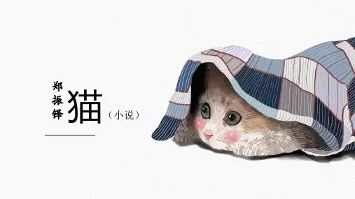 17 猫 课件(共26张PPT)