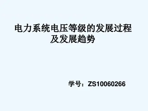 电力系统电压等级介绍 PPT