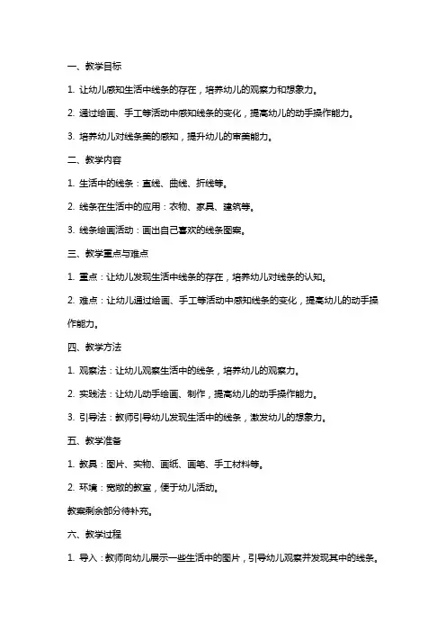 生活中的线条大班综合教案